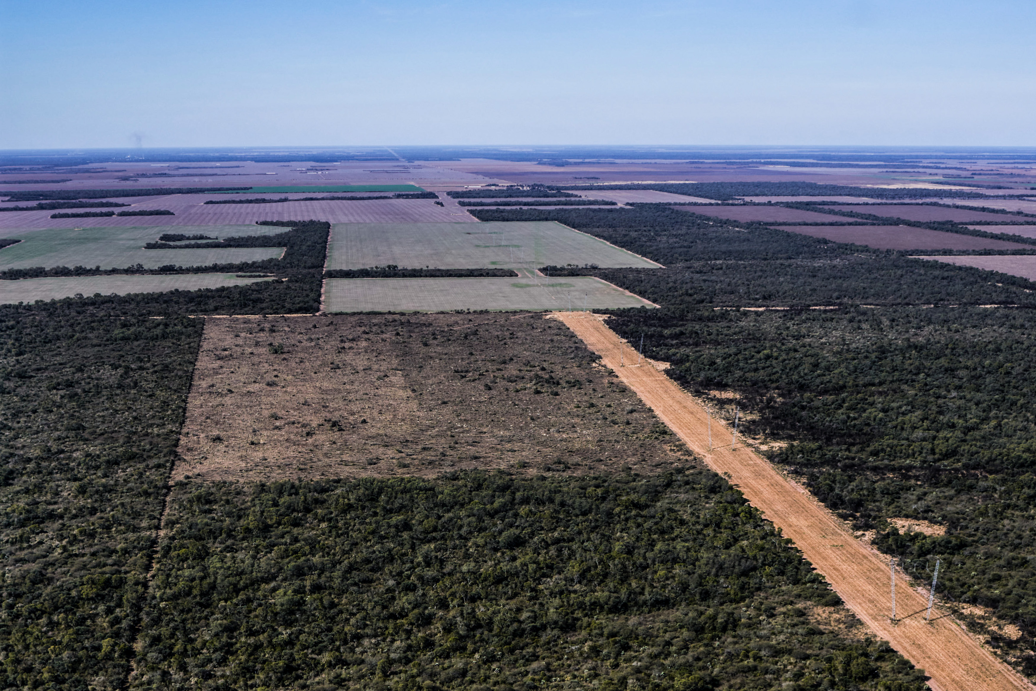 En Chaco las topadoras arrasaron 18 mil hectáreas, a pesar de que los desmontes están suspendidos por la justicia provincial