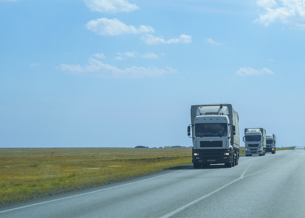 Ruta del Mercosur: el Gobierno informó qué empresas ganaron las primeras concesiones de la era Milei