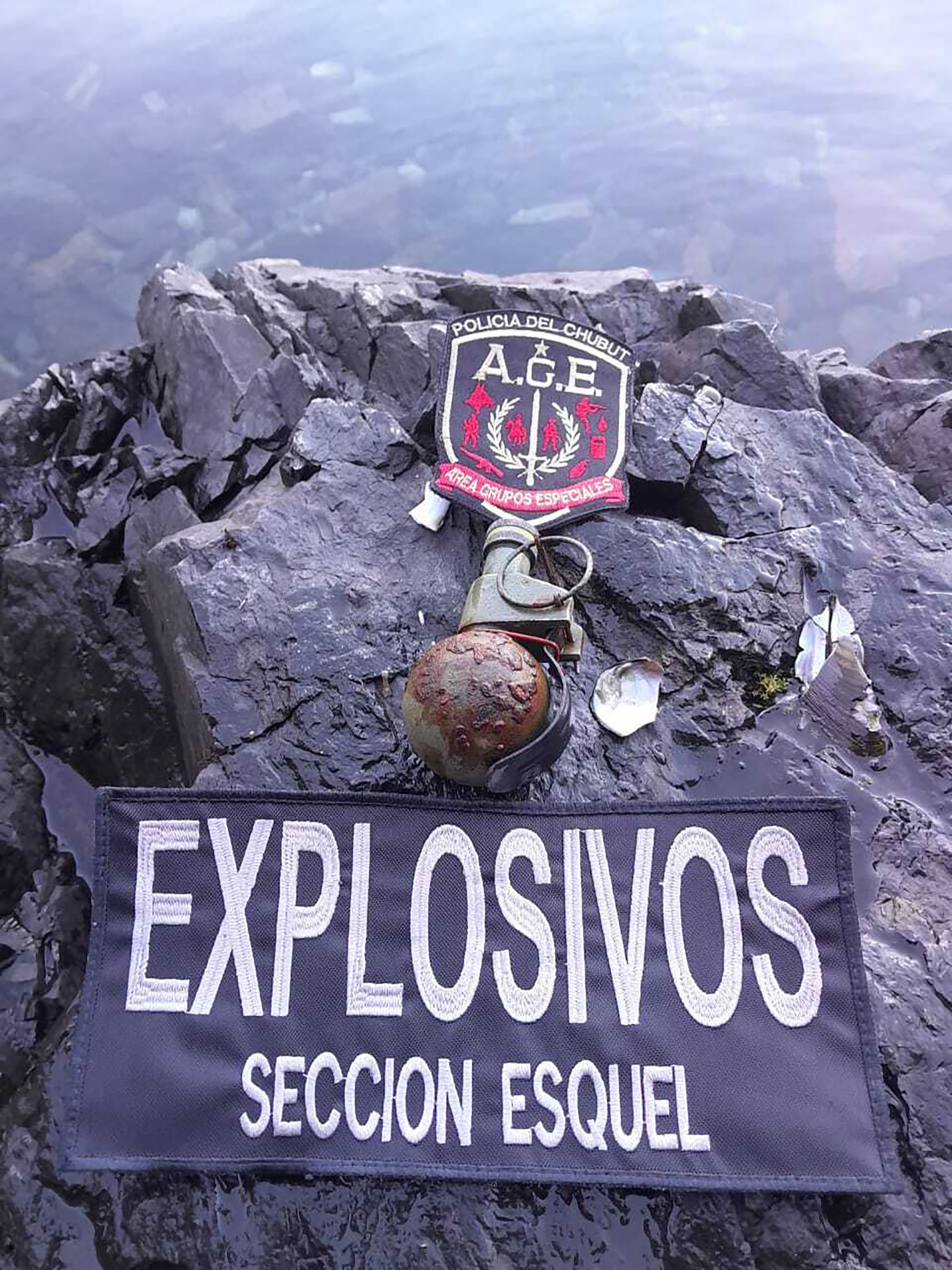 Industria automotriz: en 2025 cayeron tanto la producción como las exportaciones de autos nacionales