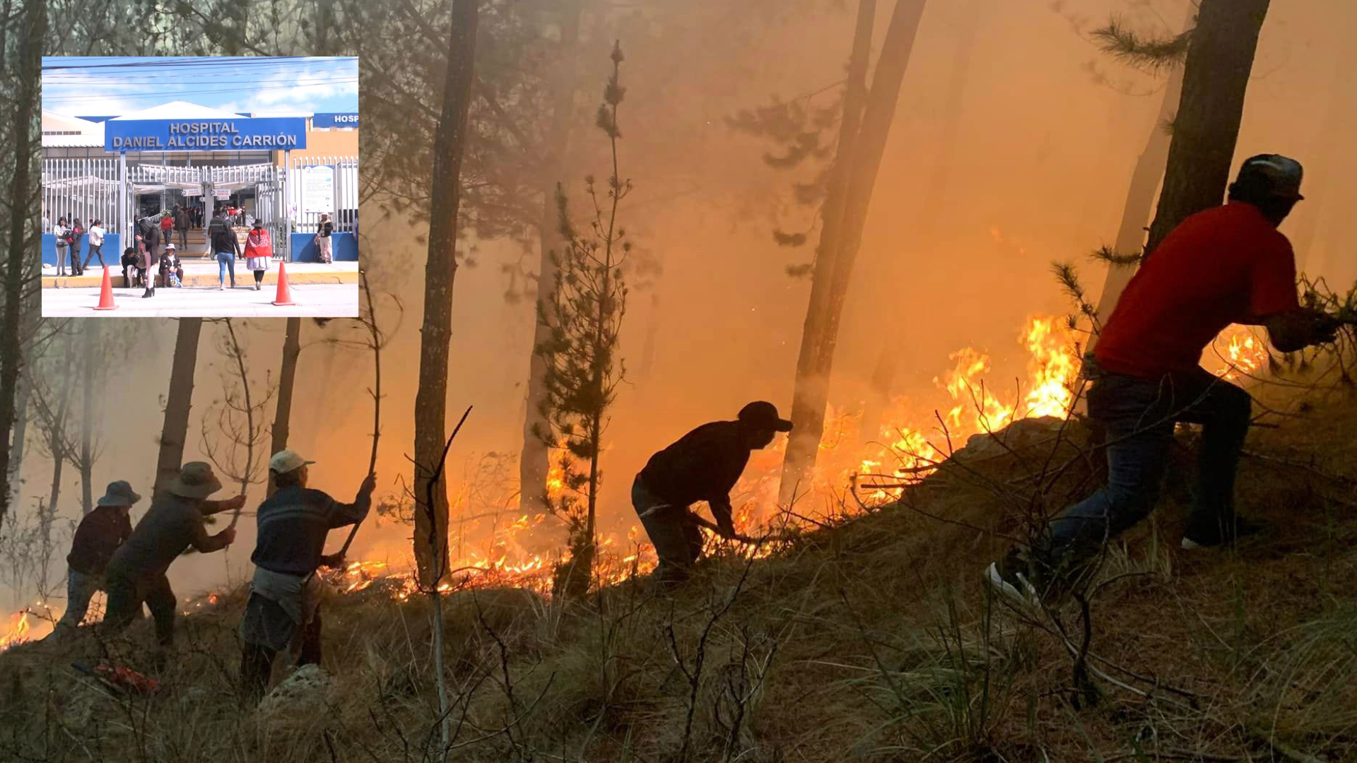 Incendio Forestal Cobra La Vida De Cuatro Agricultores En Huancayo