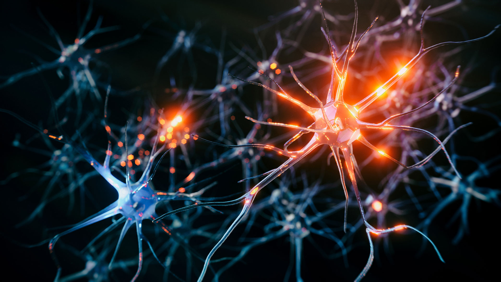 Esclerosis múltiple: cuáles son las señales de alerta y cómo se puede tratar