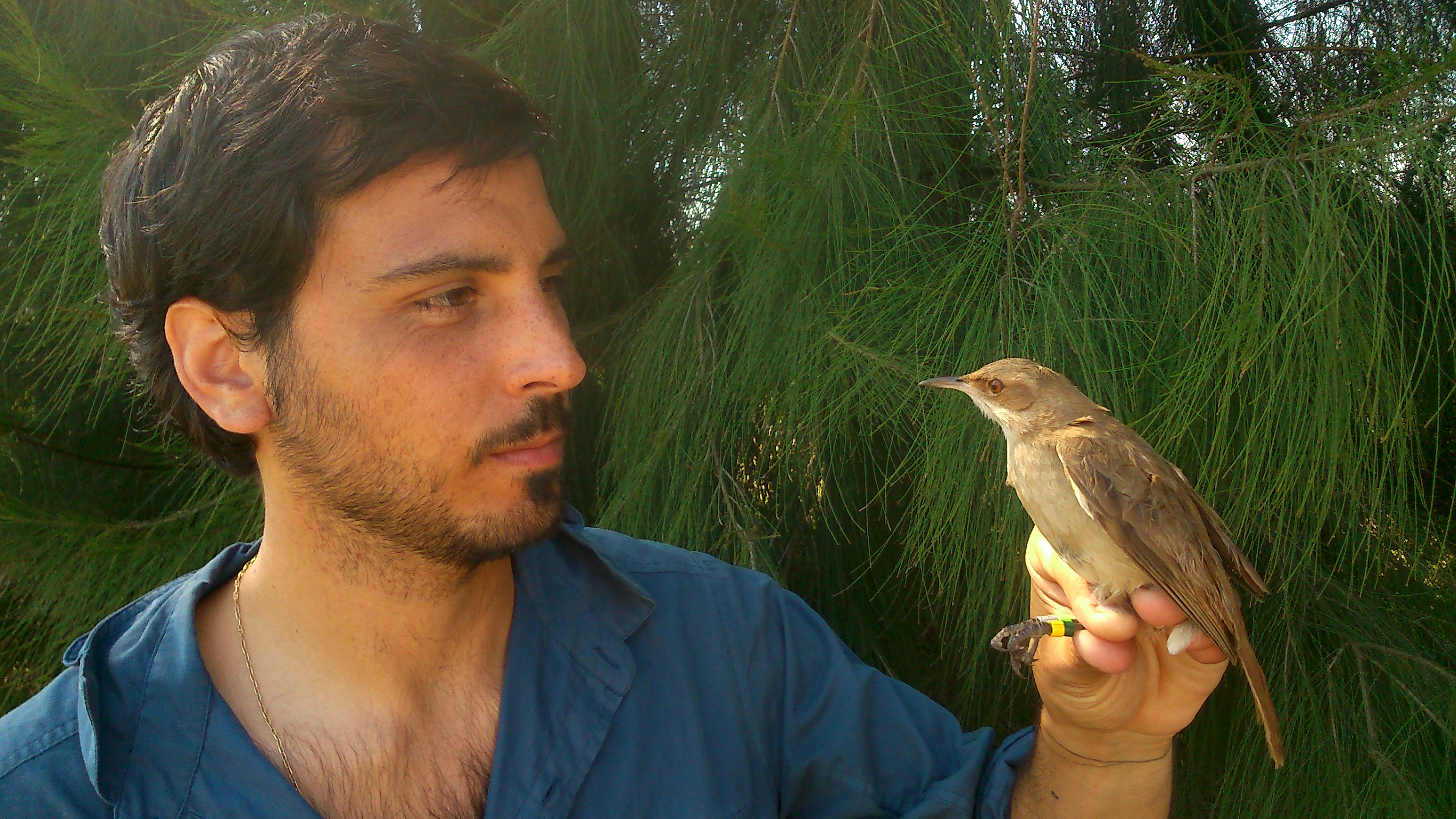Nicolás Adreani es otro de los científicos que realizó el estudio sobre los nidos de horneros/