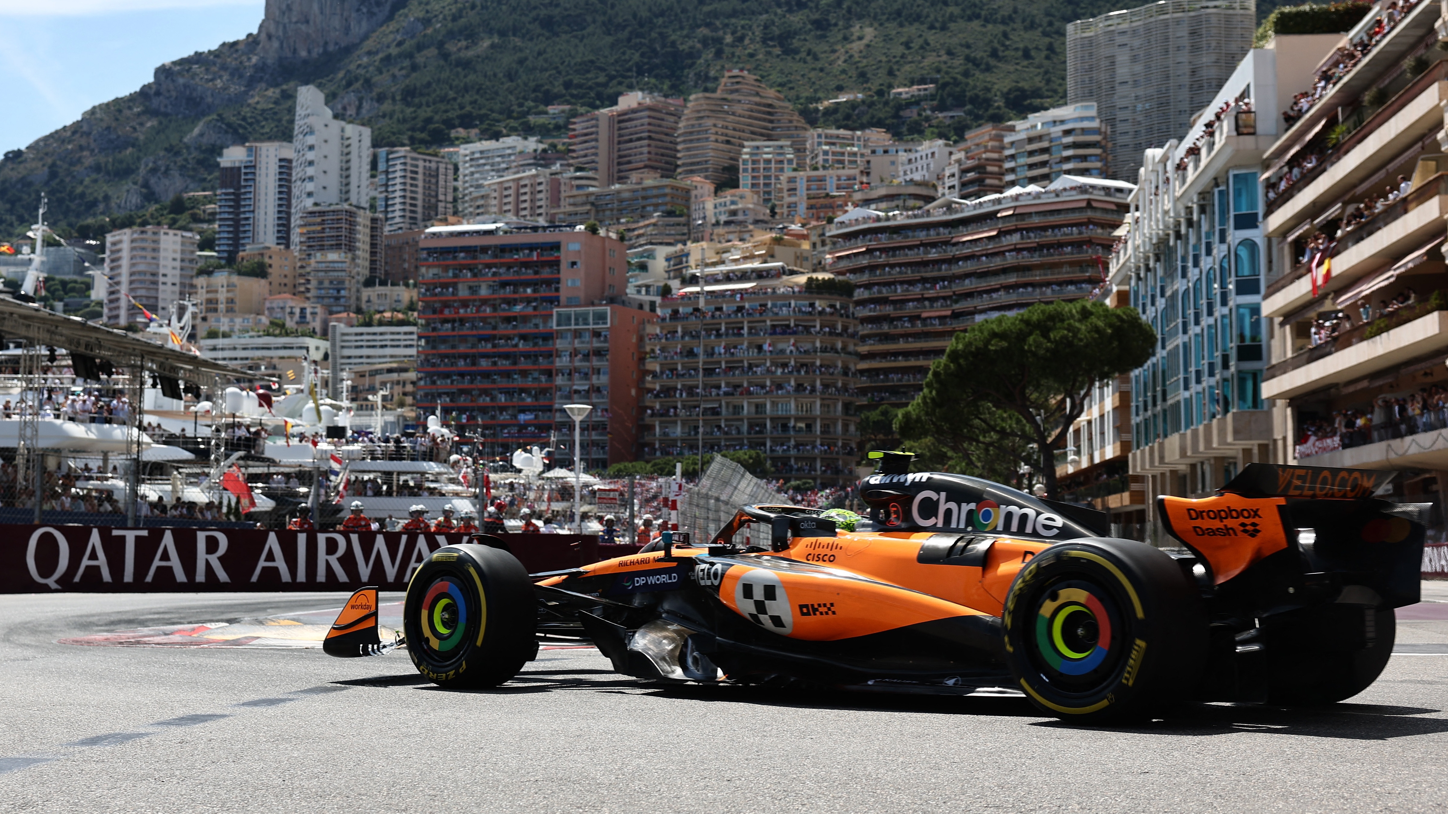 Cómo cuidar las plantas con el método natural más eficaz contra los hongos  