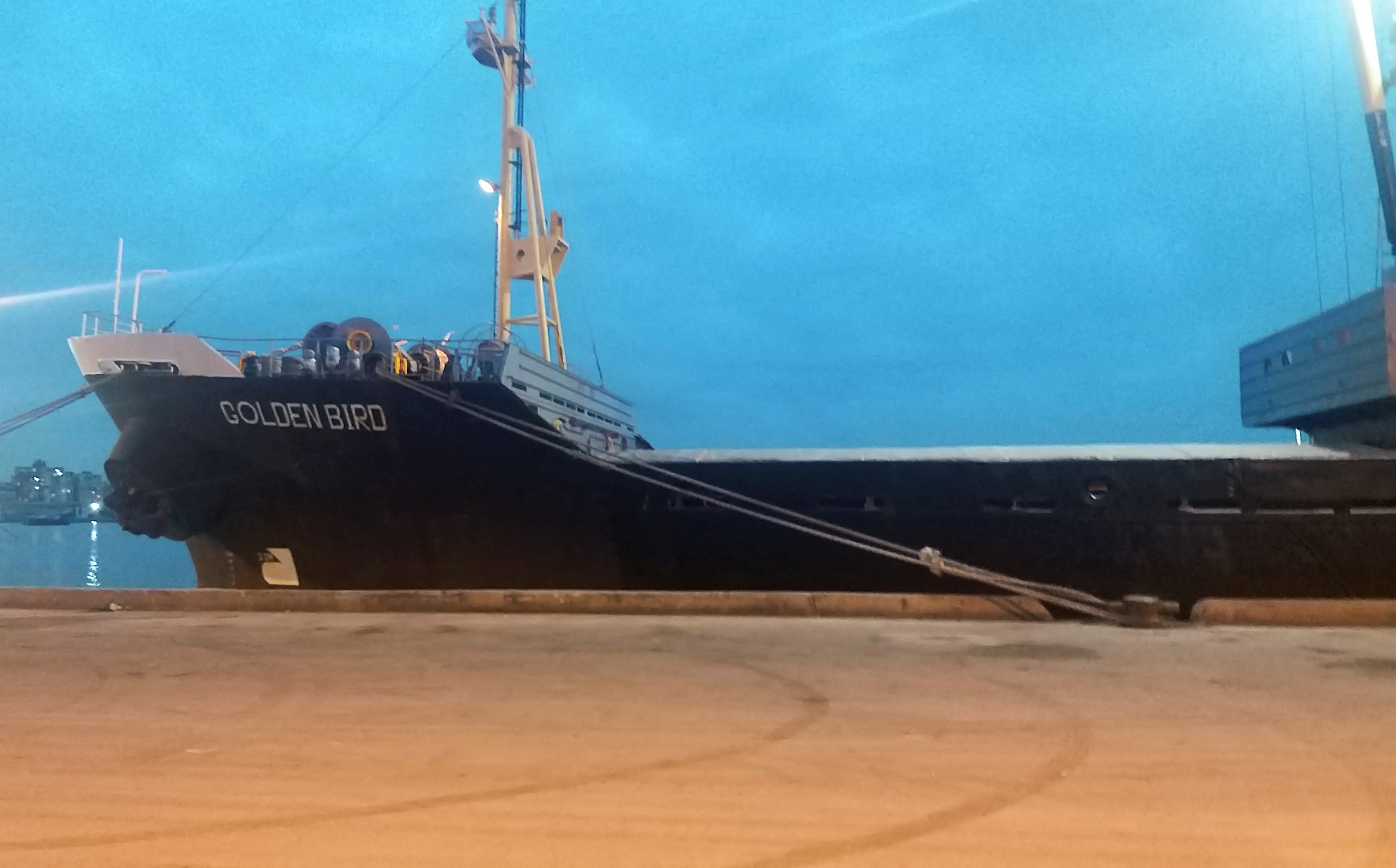 Un barco ucraniano "Golden Bird" cargado de trigo está estacionado en el puerto de Trípoli en el norte de Líbano el 8 de marzo de 2022. REUTERS/Walid Saleh