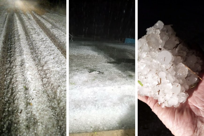 Trump pidió al presidente israelí que indulte a Netanyahu por las causas de corrupción: “Persecución política injustificada”