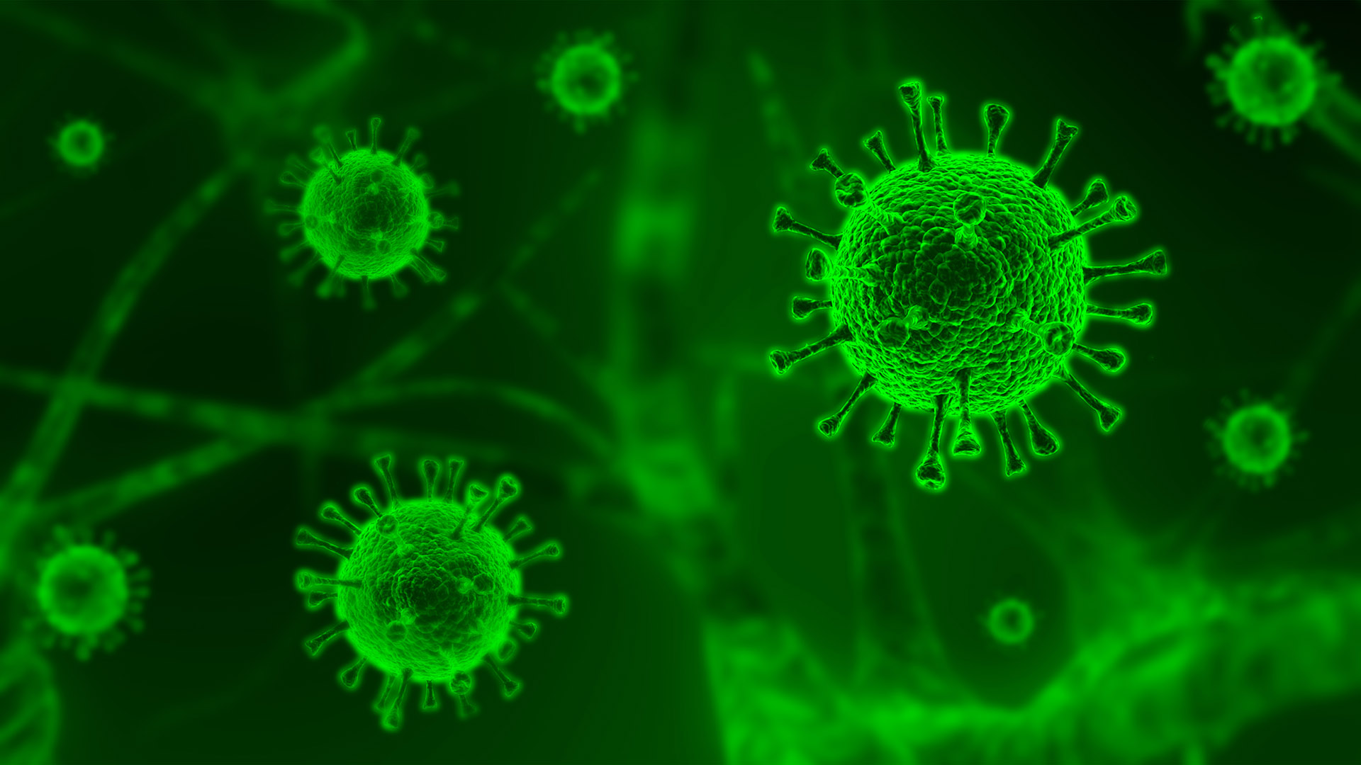 Por qué las infecciones persistentes de COVID pueden generar nuevas variantes peligrosas