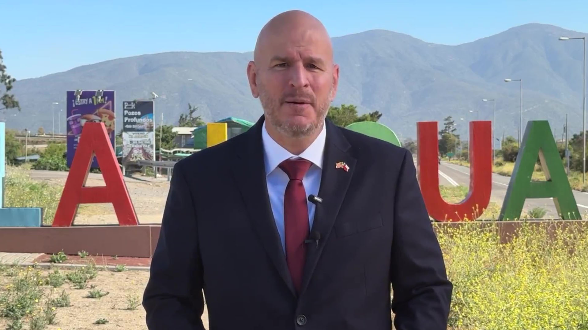 Qué hacer con los perros callejeros