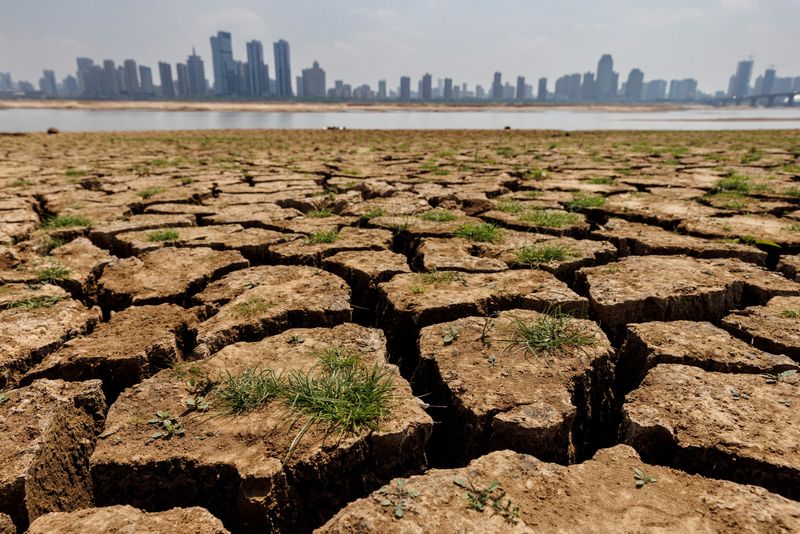 Con respecto a las sequías, hasta septiembre, 2022 se posiciona en el puesto 18 de los años más secos desde 1961 (REUTERS/Thomas Peter/Archivo)