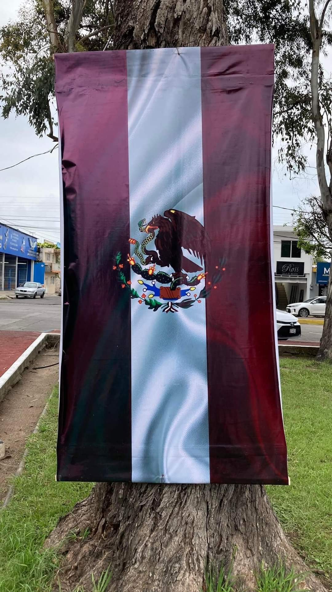 Arriba 62+ imagen bandera mexico morena