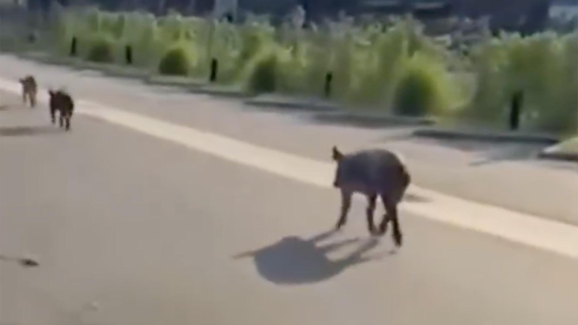 Calendario ARBA: cuándo se pagan los impuestos patrimoniales en Buenos Aires y qué beneficios hay por hacerlo a término 