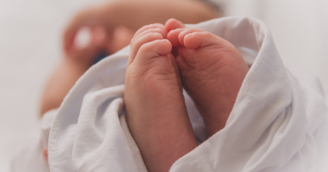 Los pulpos de peluche contribuyen a disminuir el estrés de los bebés recién nacidos que necesitan estar en tratamiento en una incubadora. Crédito: 
Luma Pimentel / Unsplash