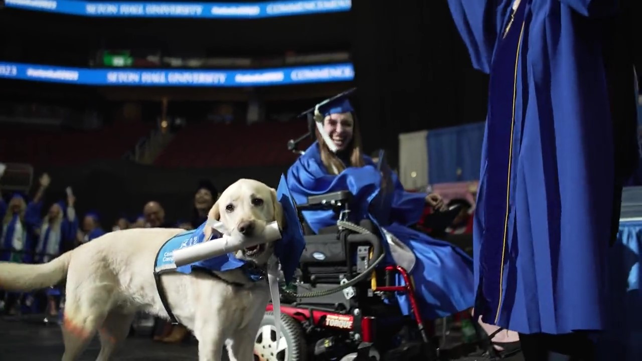 El mejor alumno: un perro guía recibió un diploma de graduación y fue ovacionado por todos los egresados