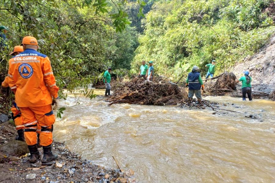 Niña De 9 Años Murió Tras Caer A Una Quebrada En Plena Celebración De