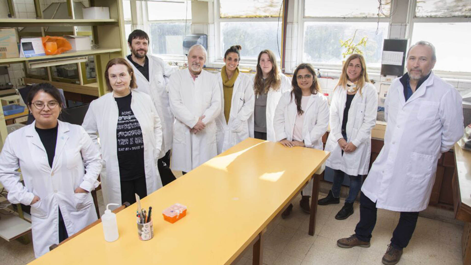 El equipo de investigadores argentinos que estudia el efecto de la administración de dieta enriquecida en fructosa sobre diferentes órganos ligados de algún modo al desarrollo de obesidad y diabetes/UNLP/Conicet