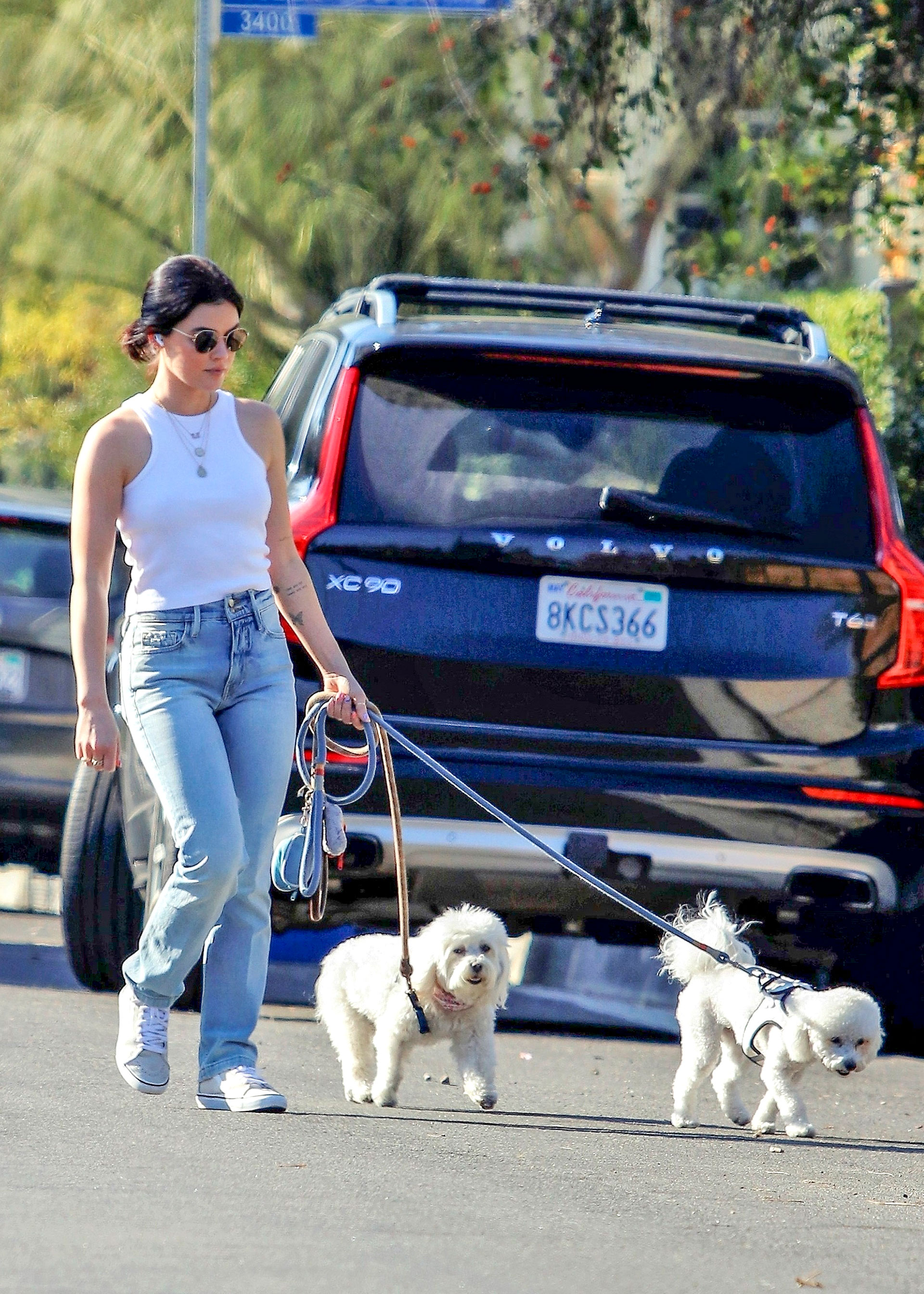 Lucy Hale sacó a pasear a sus perros por las calles de Studio City, California. Lució un look casual: jean clarito, musculosa blanca que combinó con sus zapatillas de lona y lentes de sol