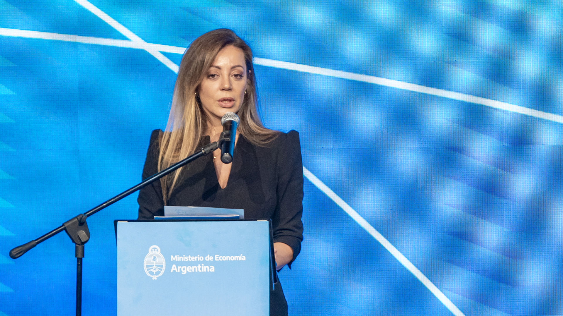 Flavia Royón - Secretary of Energy in cover format