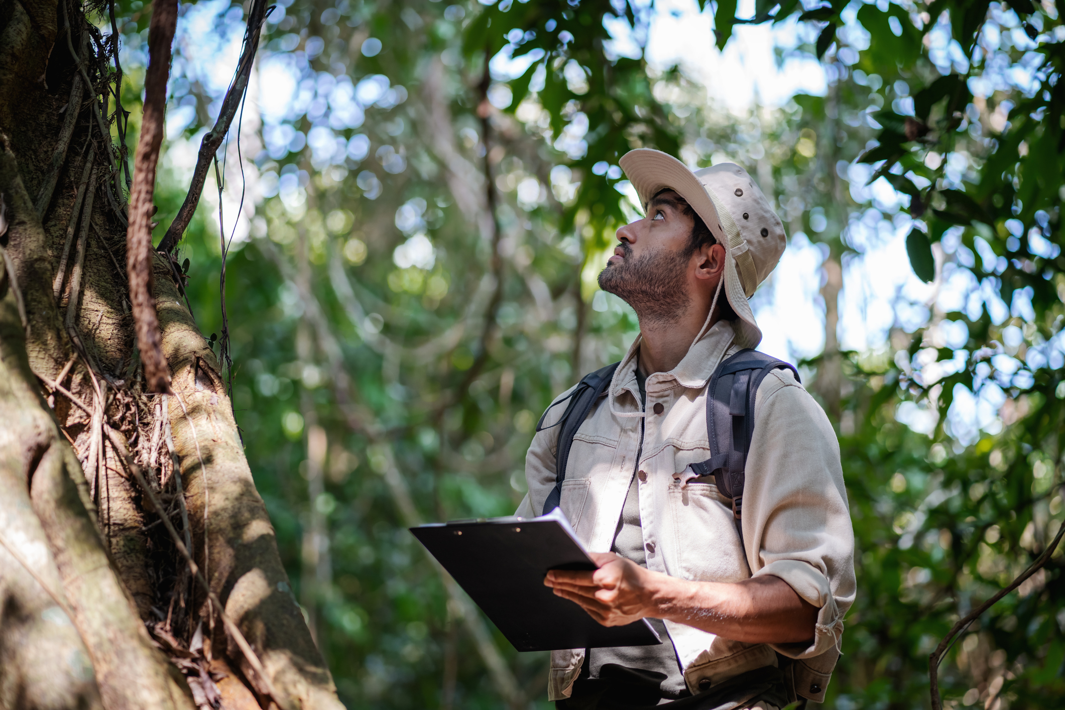 La ecoacústica analiza las variaciones sonoras de la naturaleza para obtener conclusiones sobre el comportamiento de los animales y la diversidad de especies (Getty)