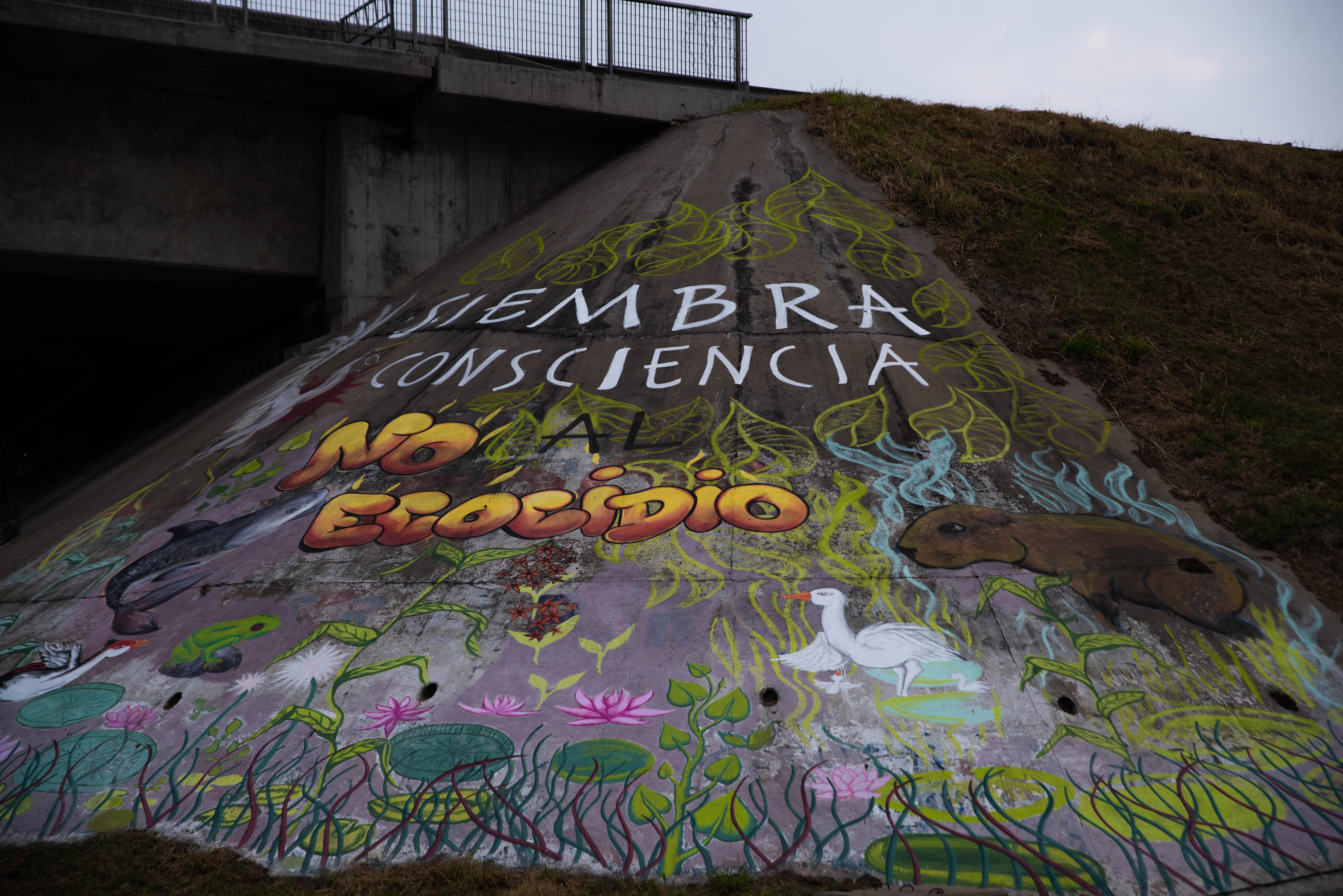 Las agrupaciones de ecologísticas y que luchan por el cuidado del medio ambiente se manifestaron el último fin de semana en Rosario