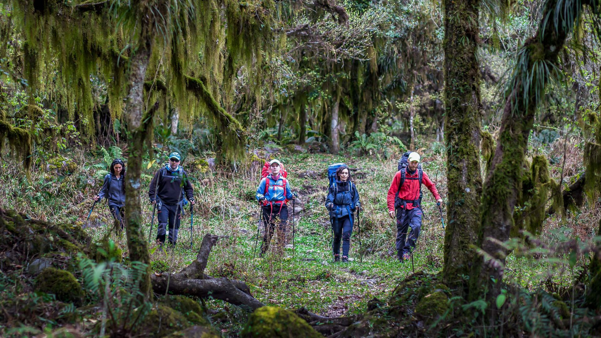 Desde la Sección Piedra Labrada comienza el sendero “Campo de Las Azucenas” (Ministerio de Turismo y Deportes)