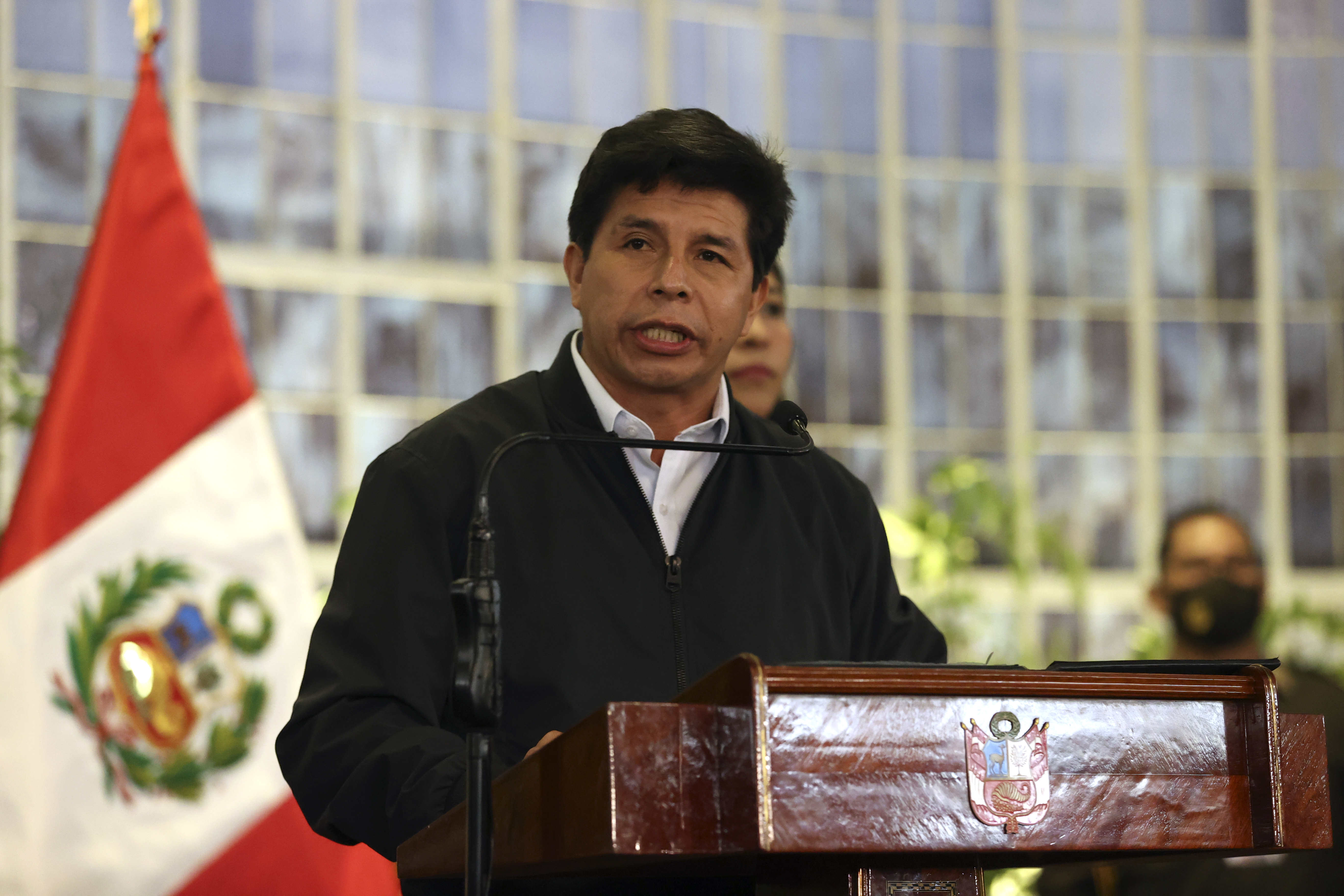 Pedro Castillo pidió evaluar la situación migratoria de los venezolanos que delinquen en Perú