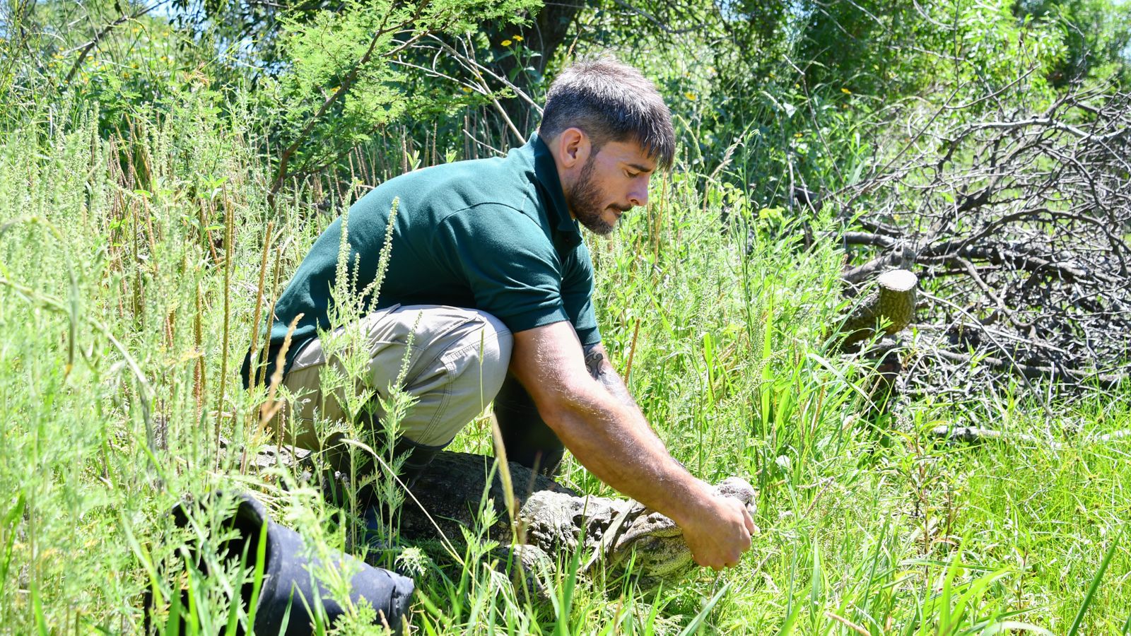 Empieza el juicio a Hadi Matar, el hombre que atacó a escritor Salman Rushdie 