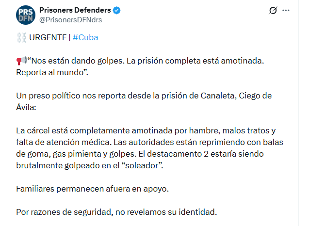 Qué reveló la pericia psiquiátrica a la policía de la Federal acusada de matar a su ex y falsear la escena del crimen