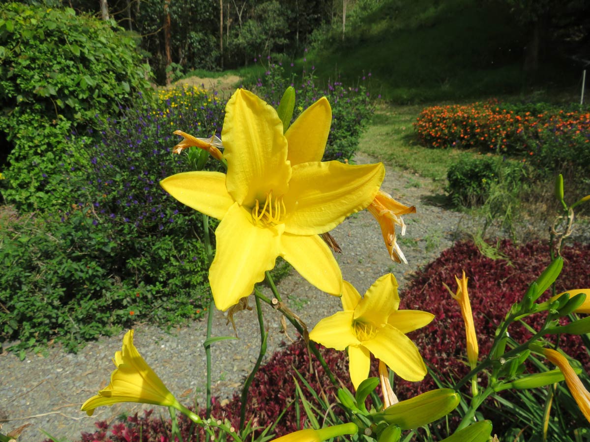 Cómo participar en el concurso de fotografía de biodiversidad en los  ecosistemas estratégicos de Medellín - Infobae