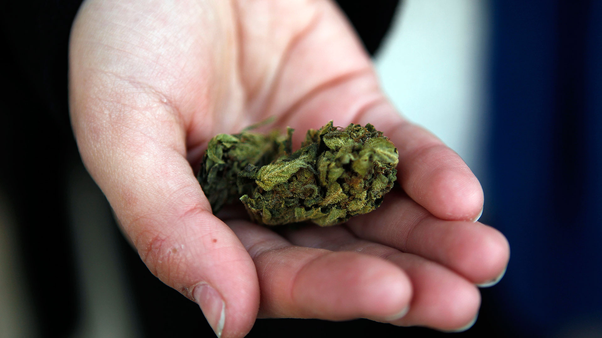 Congresistas conservadores califican de “vergonzoso” y “peligroso” aprobación del consumo adulto de marihuana