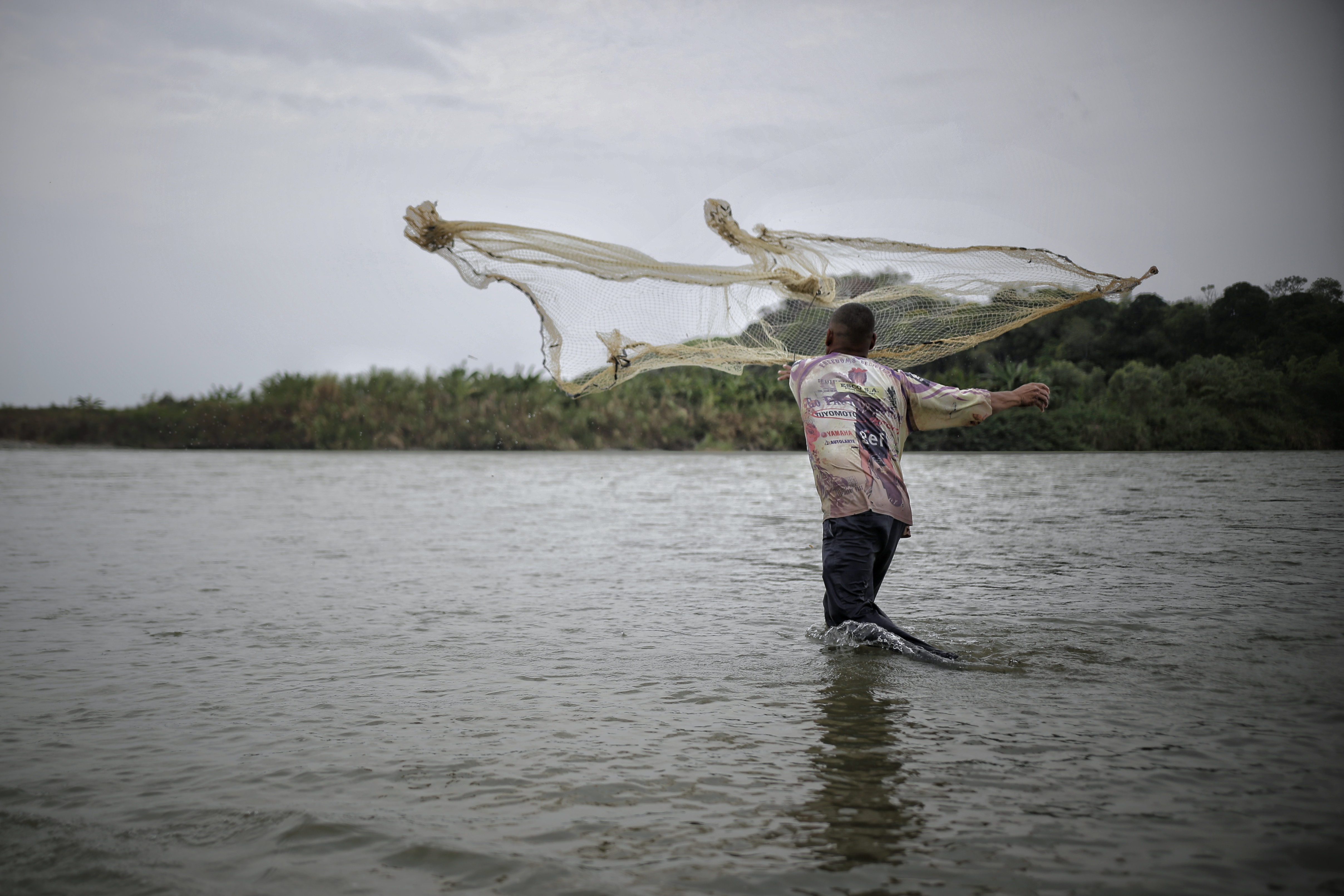 Pescadores en el Atlántico capturaron un pez gigante. Colprensa