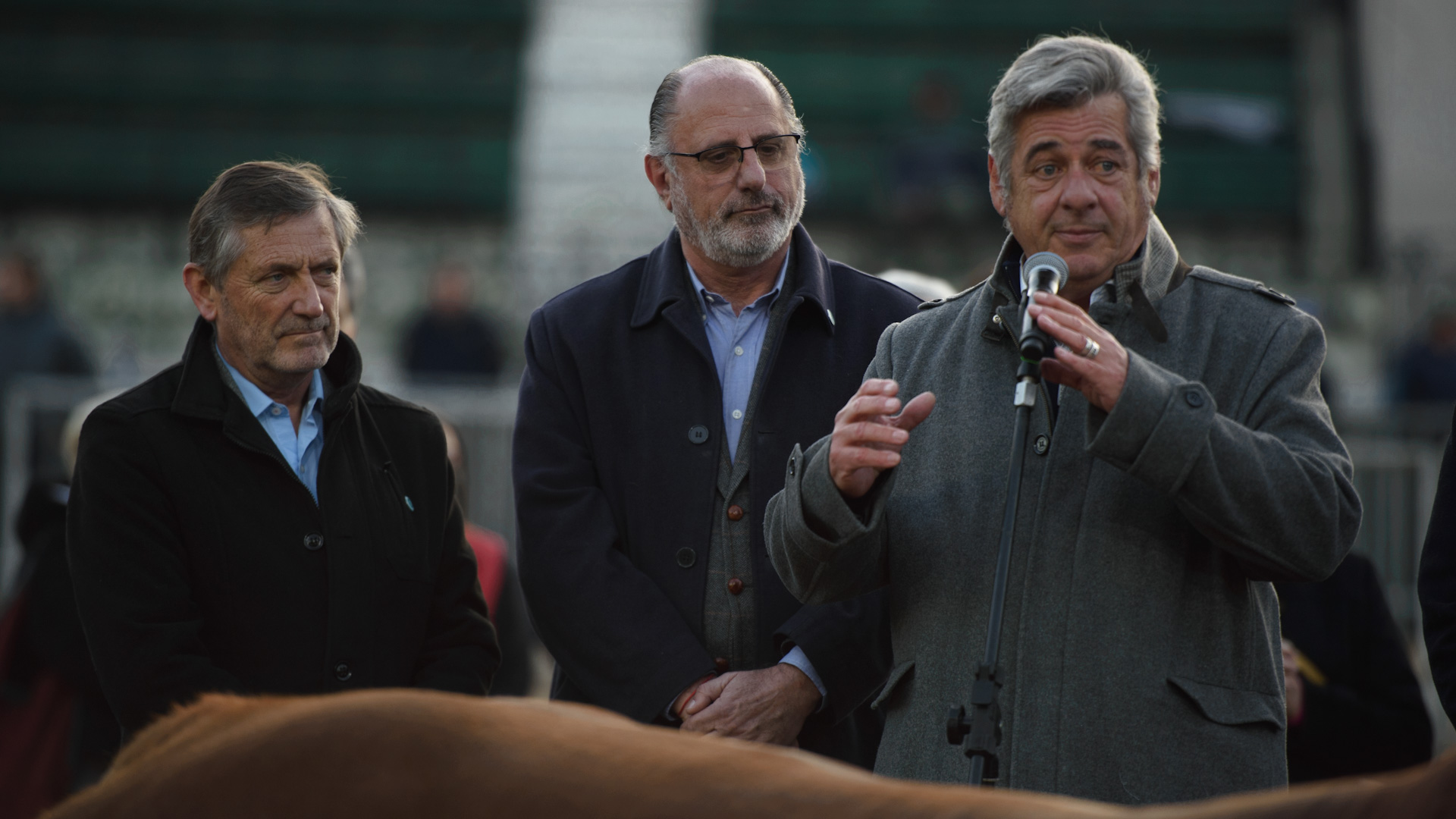 Nicolás Pino, presidente de la SRA (Adrián Escandar)