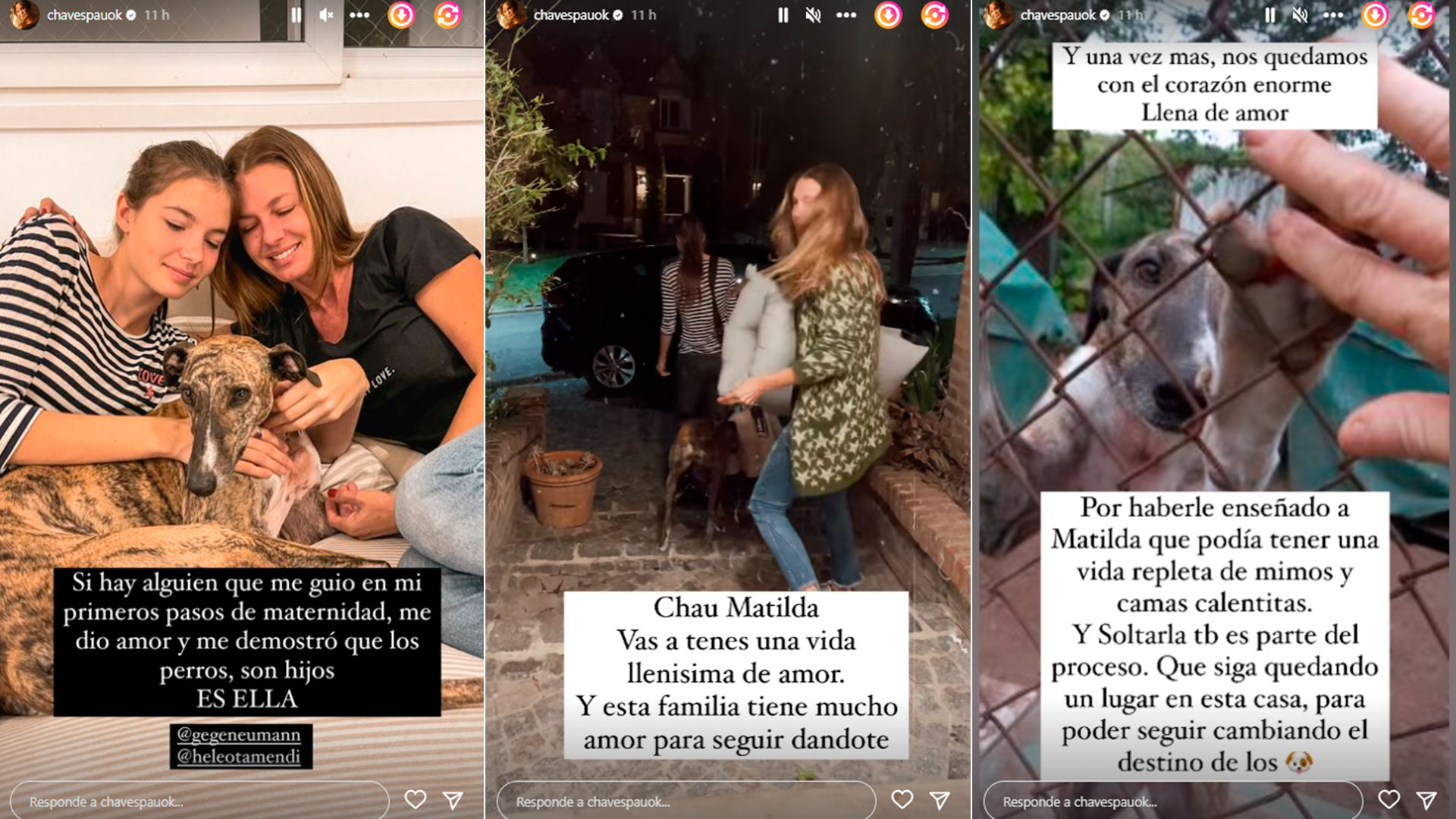 Quién es la famosa que adoptó a Matilda, la perra que rescataron Paula  Chaves y Pedro Alfonso: “Queda en buenas manos” - Infobae