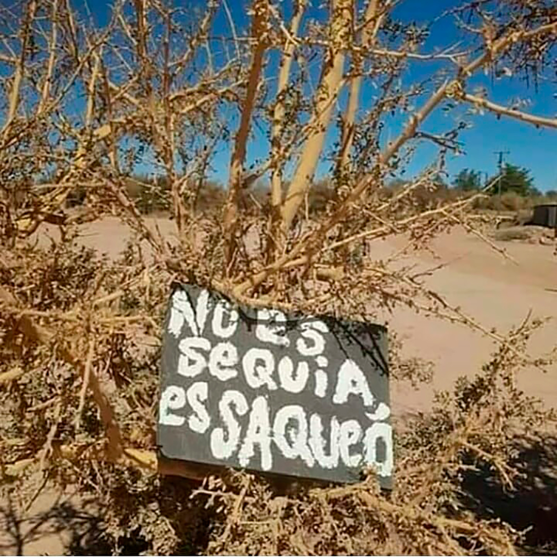 Diversas agrupaciones de defensa del agua reclaman por la privatización del vital elemento