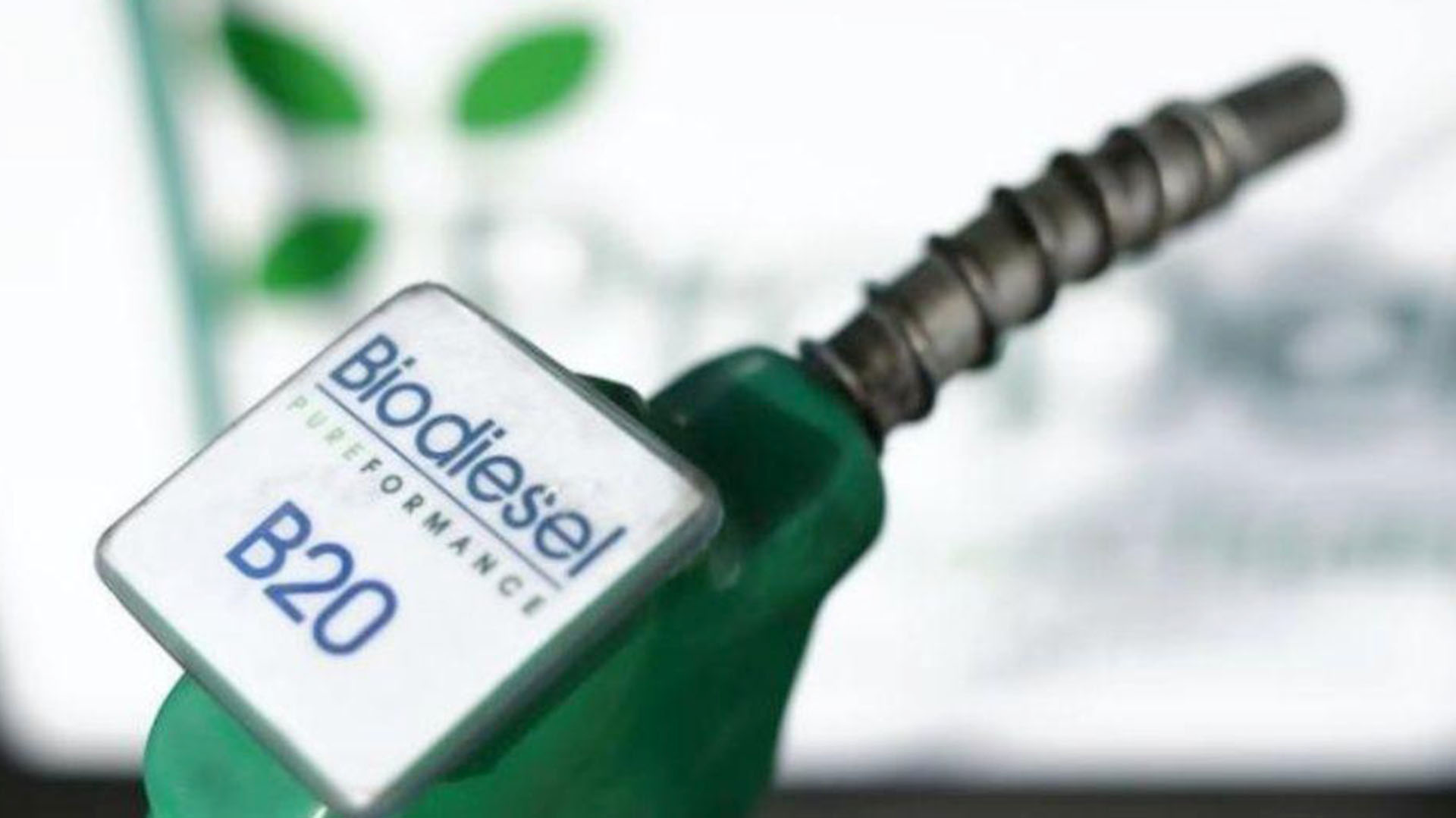 Desde 2015 hasta la fecha, el precio internacional del biodiésel generado por los grandes productores creció un 240% en dólares 