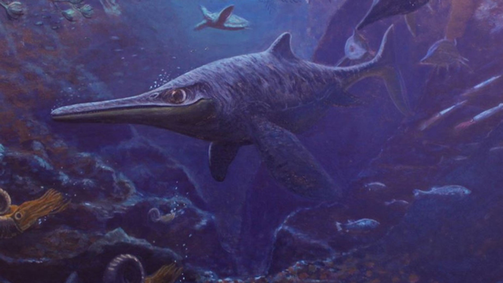 Paleontólogos encontraron el primer fósil de ictiosaurio completo en un  glaciar de Chile - Infobae