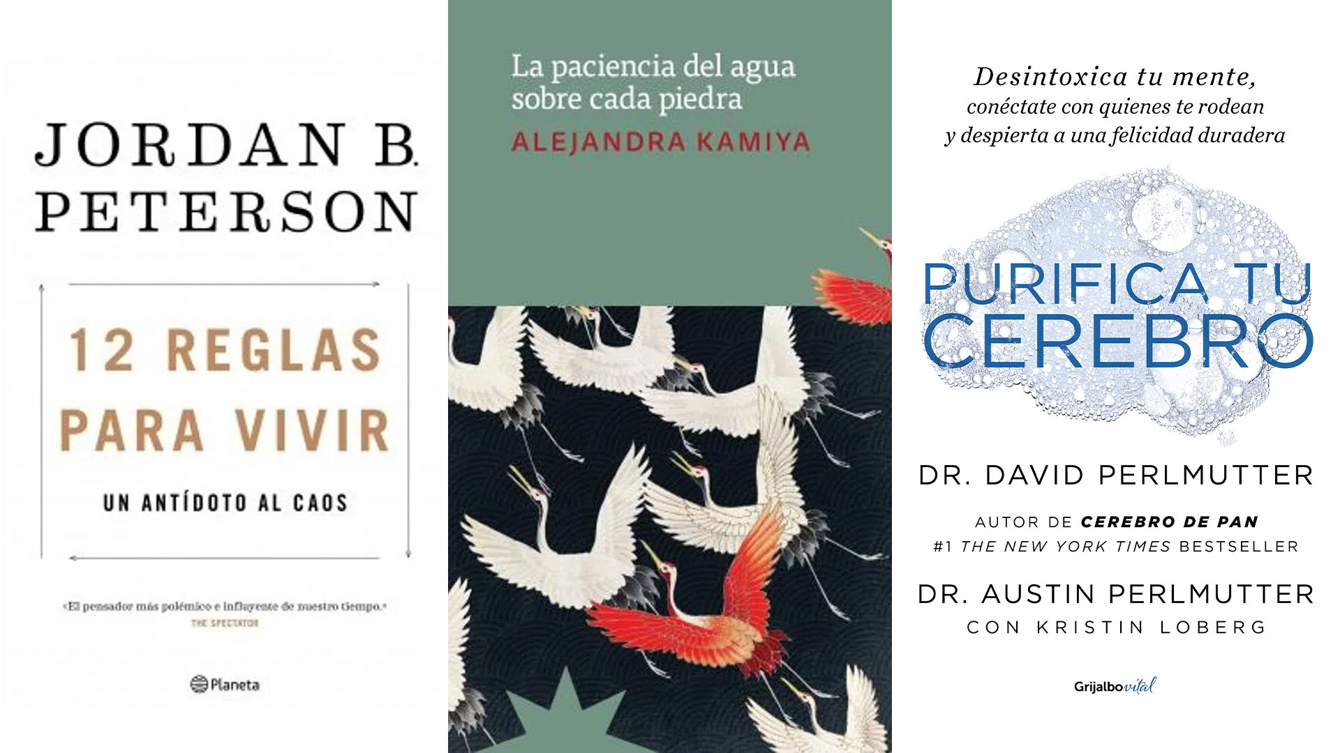Qué leer el fin de semana: Alejandra Kamiya y los bestsellers “12 reglas para vivir” y “Purifica tu cerebro” por menos de 1.700 pesos argentinos