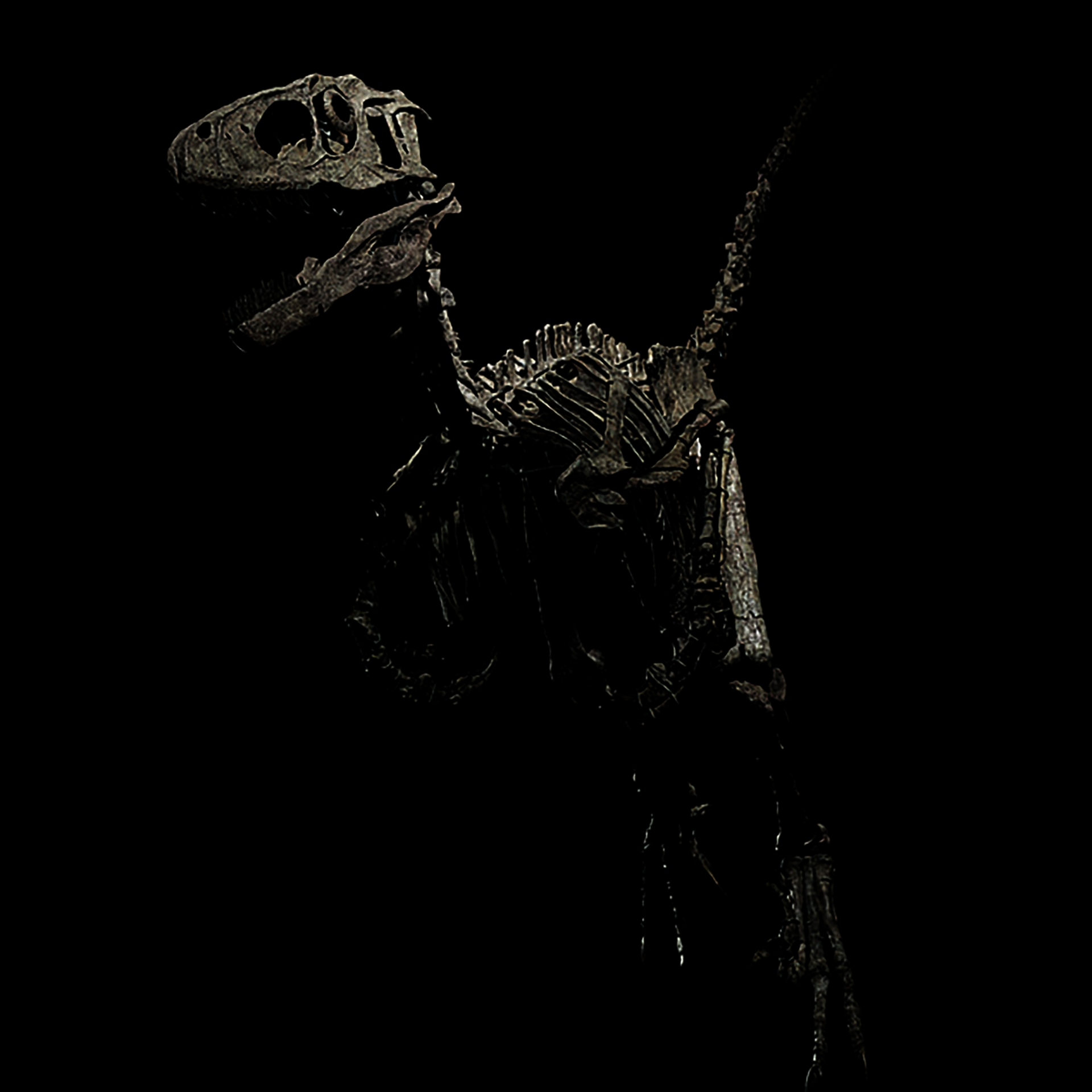 “Héctor” es el espécimen más grande y completo de su tipo jamás descubierto, aunque parte de su esqueleto y la mayor parte de su cráneo están reconstruidos (Foto: Daily Mail)