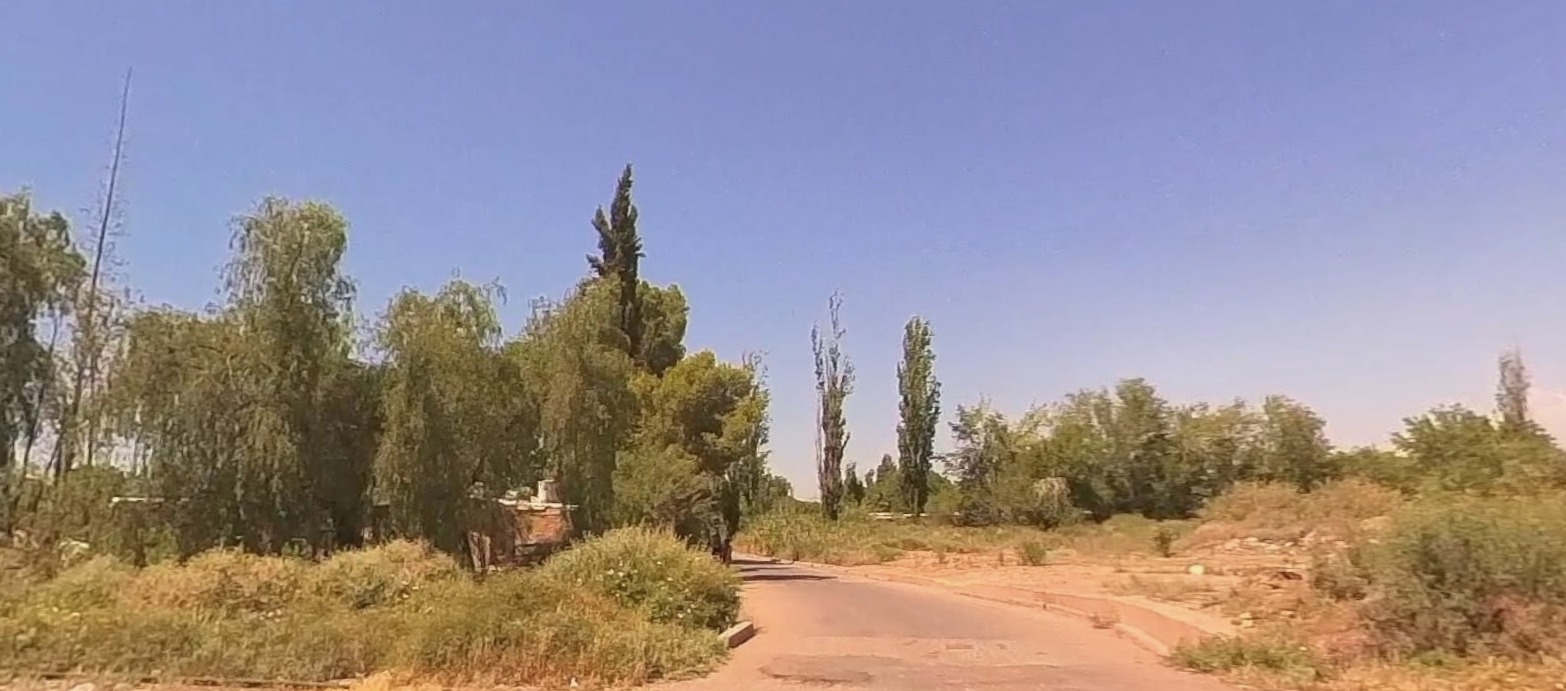 El brindis de los multimillonarios: dónde pasan las fiestas de Fin de Año los más ricos del mundo