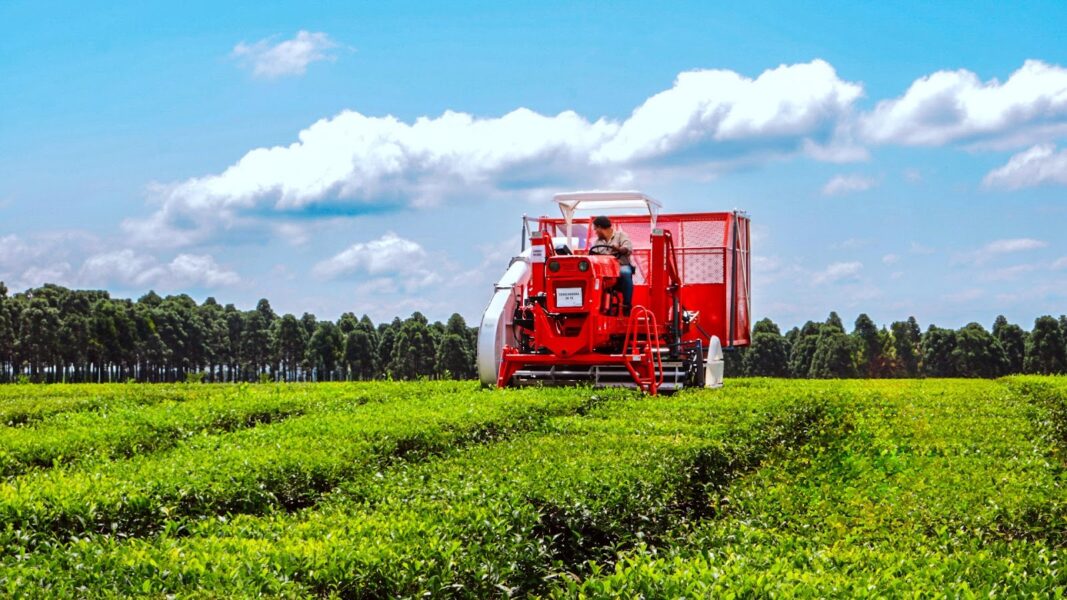 Guerra abierta entre Pakistán y Afganistán: qué es la Línea Durand y por qué es tan importante en el conflicto