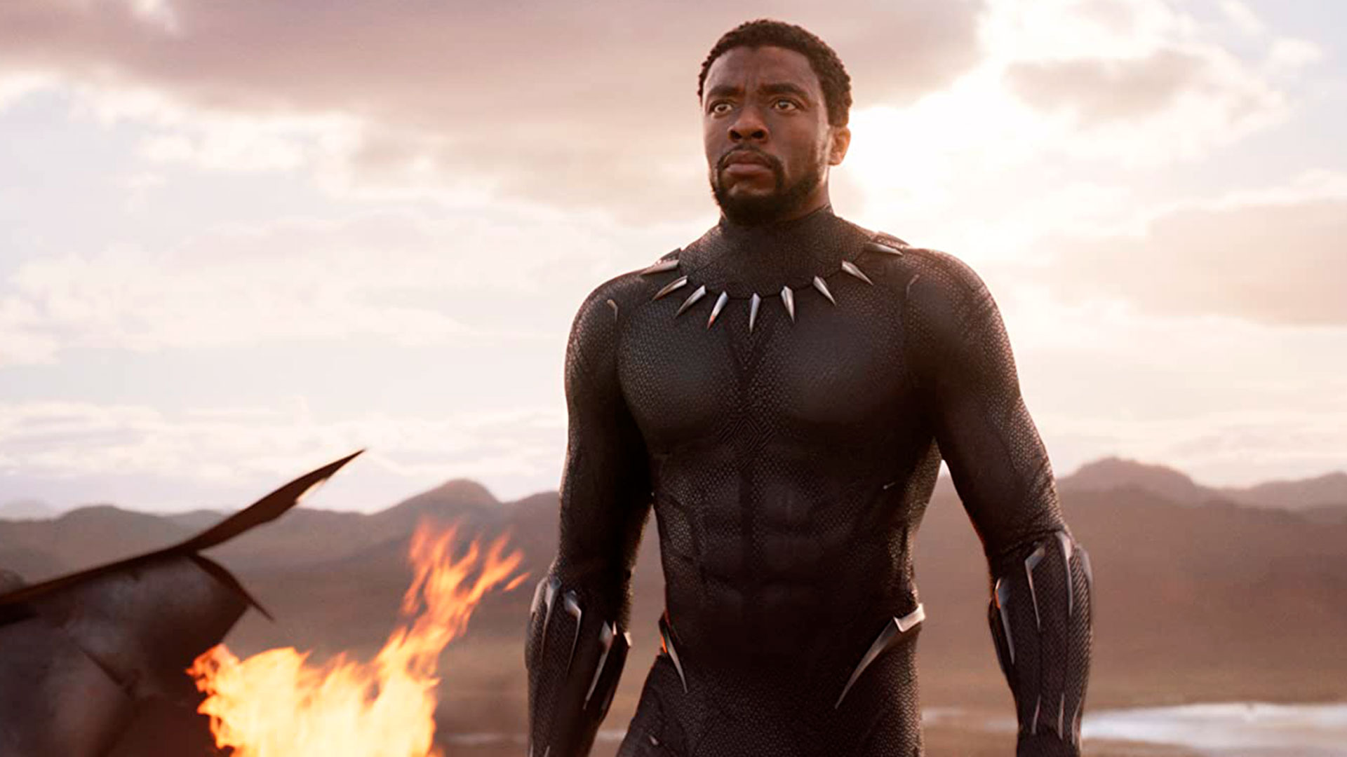 Boseman tenía previsto protagonizar Black Panther: Wakanda Forever