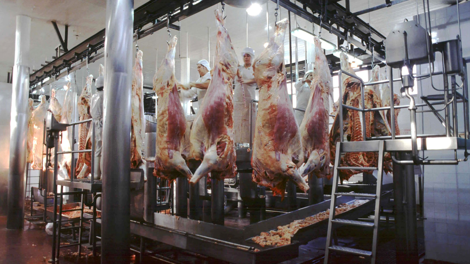 Siguen las críticas al cepo exportador de carne vacuna y se advierte sobre las posibilidades que desaprovecha el país, por dicha medida. (NA)