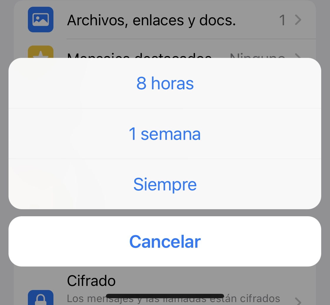 Ajustes para que los grupos de WhatsApp no sean molestos. (iPhone/WhatsApp/Jose Arana)