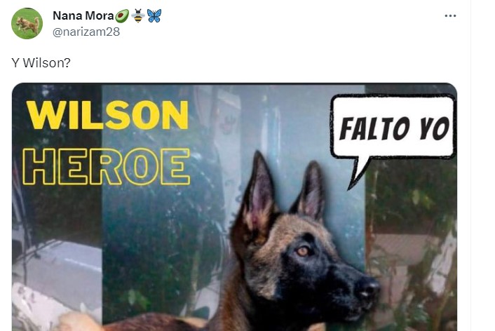 Miles de personas desean que las autoridades busquen al perro Wilson