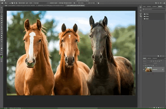 Photoshop implementa inteligencia artificial para la función 'selección de  objetos' - Infobae