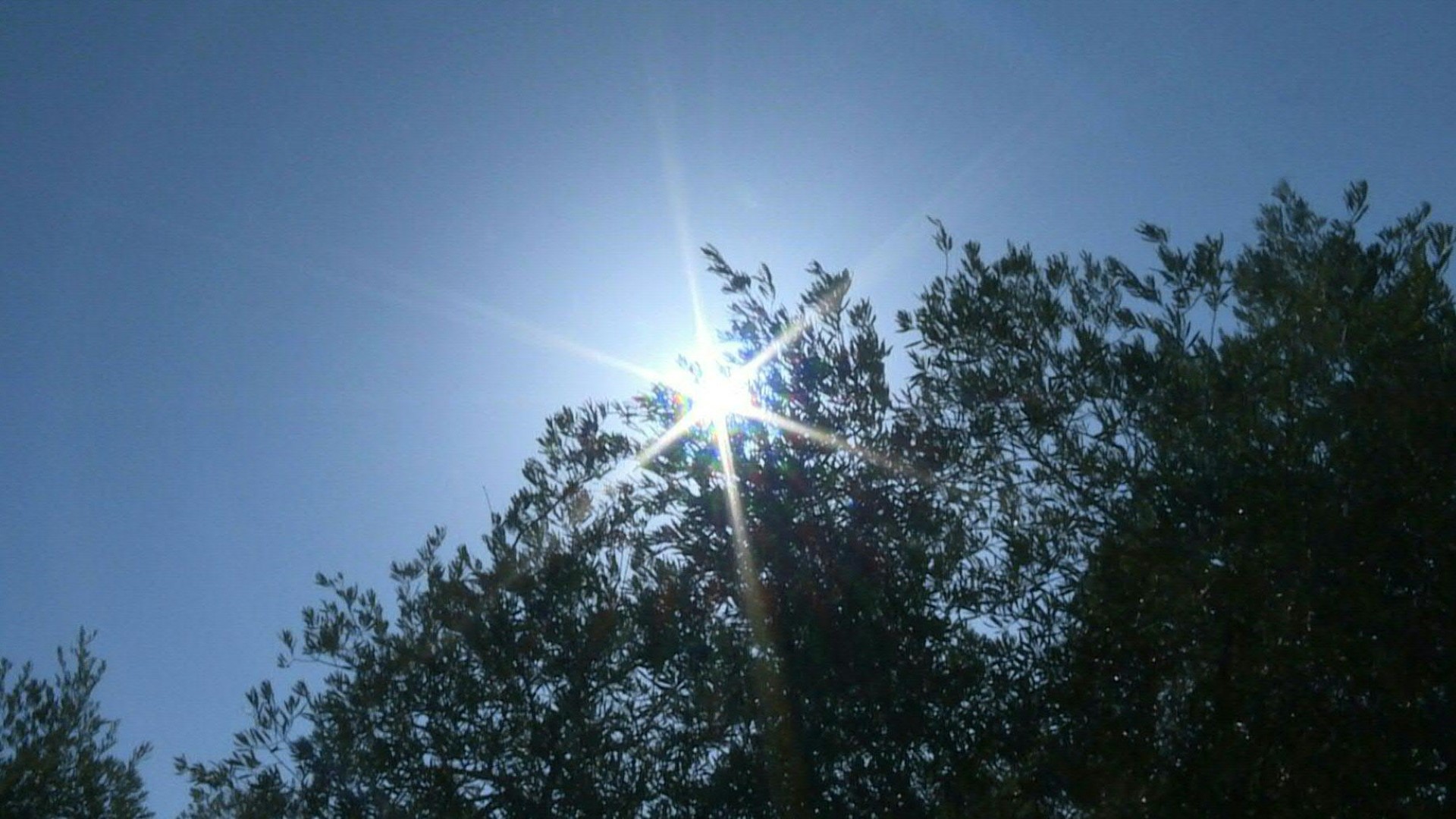 El mes pasado fue uno de los julios más cálidos jamás registrados en el mundo (AFP)