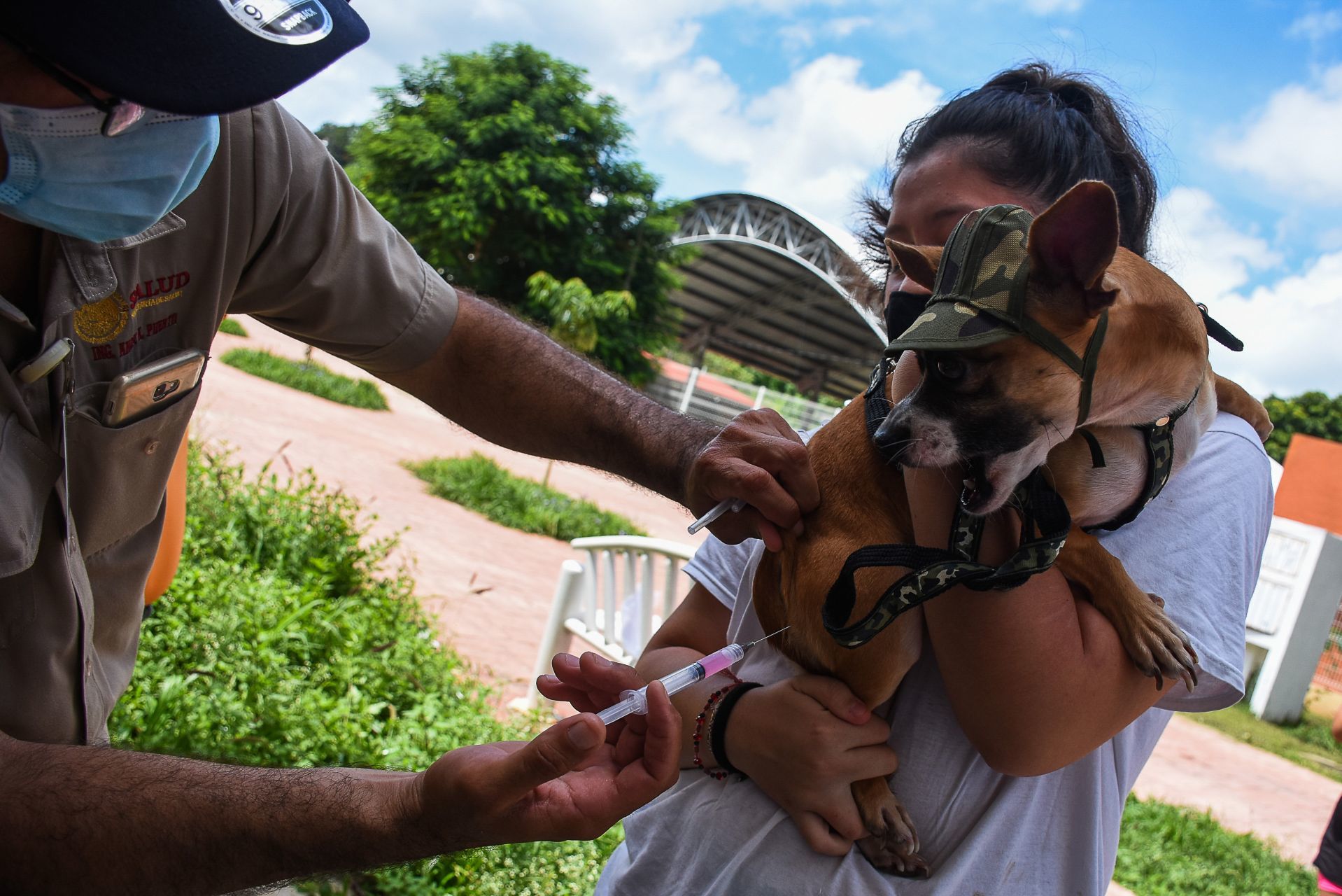 Hugo López-Gatell destacó que en el país se ha logrado eliminar la rabia causada por perros domésticos (Foto: Cuartoscuro.com)