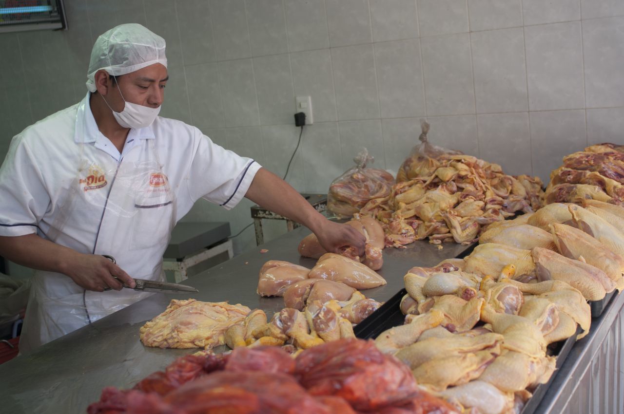 No hay riesgos en el consumo humano de carne de pollo