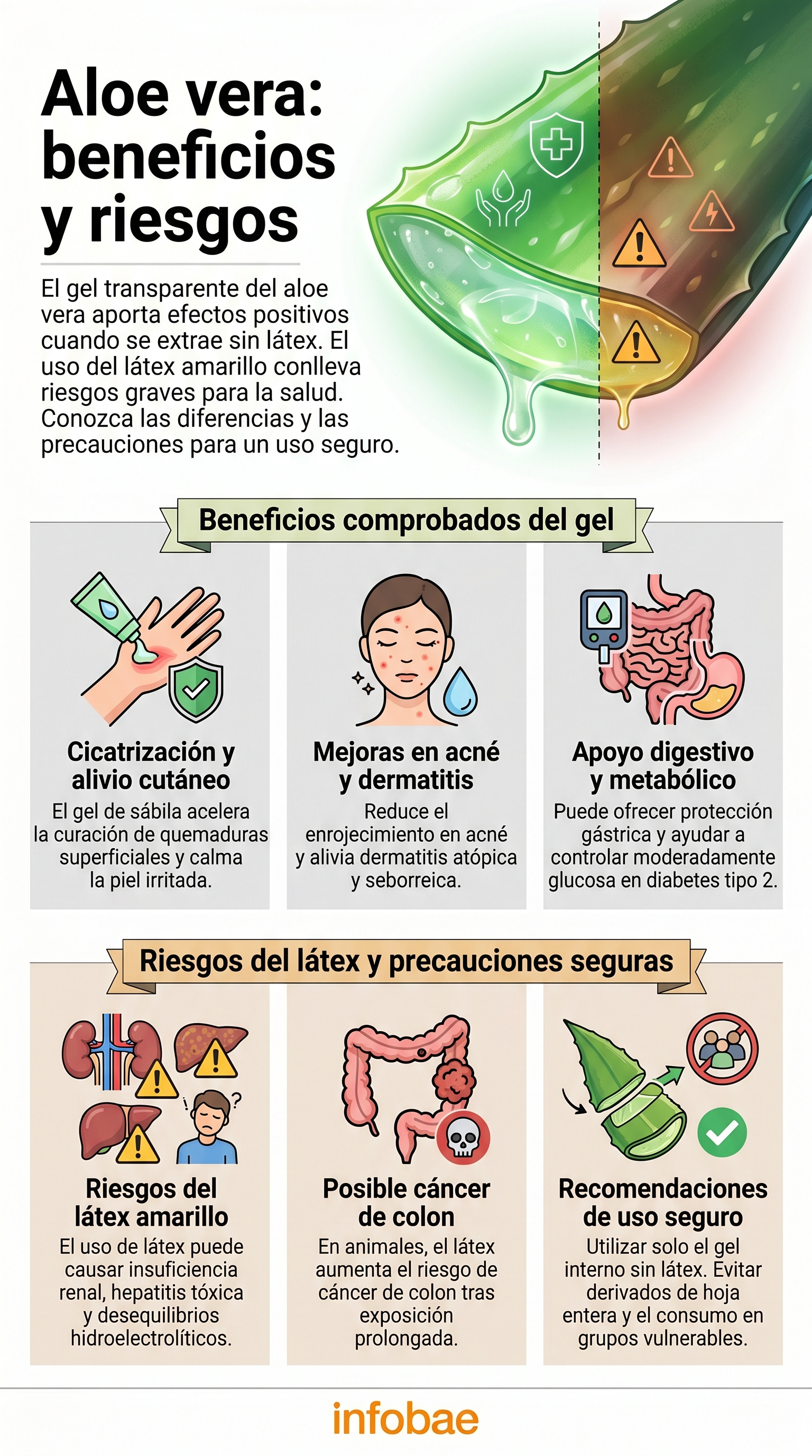 Sbila para la piel, el estmago y el cabello: qu parte s funciona y cul  no deberas usar nunca - Infobae