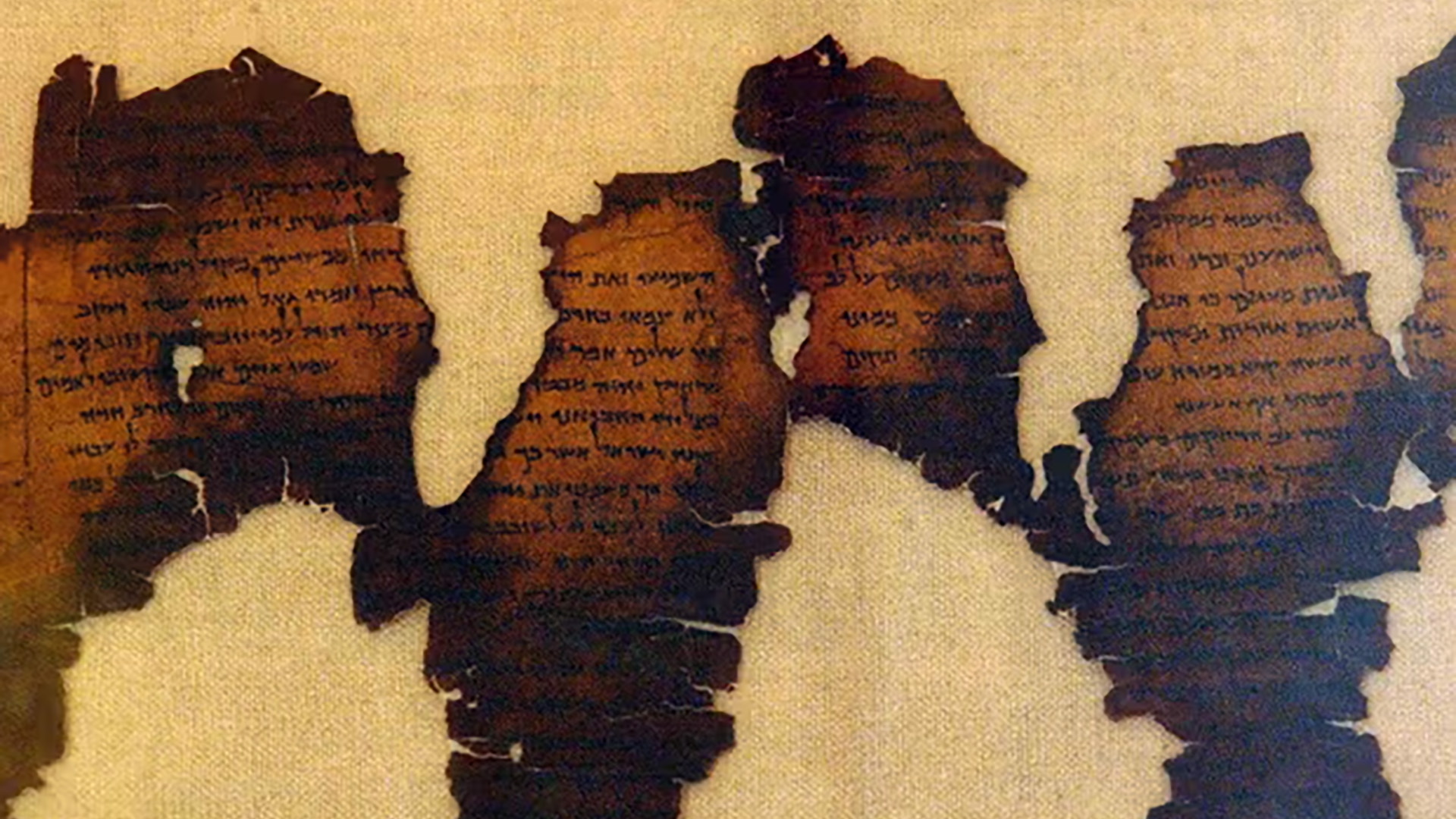 Descubrieron que los manuscritos del Mar Muerto son más antiguos de lo que  se creía - Infobae