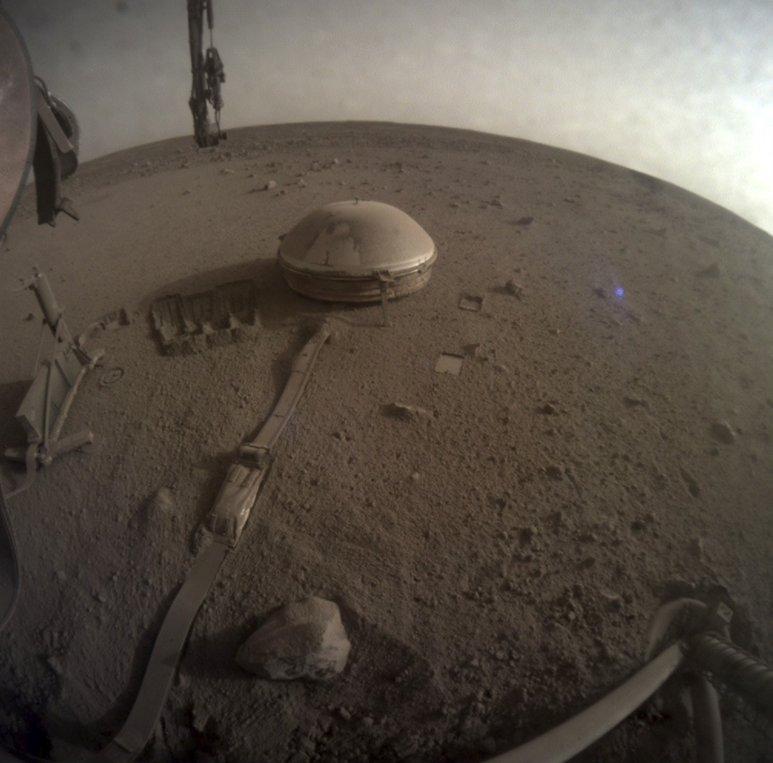 La última imagen enviada por InSight desde Marte (Twitter: @NASAInSight)