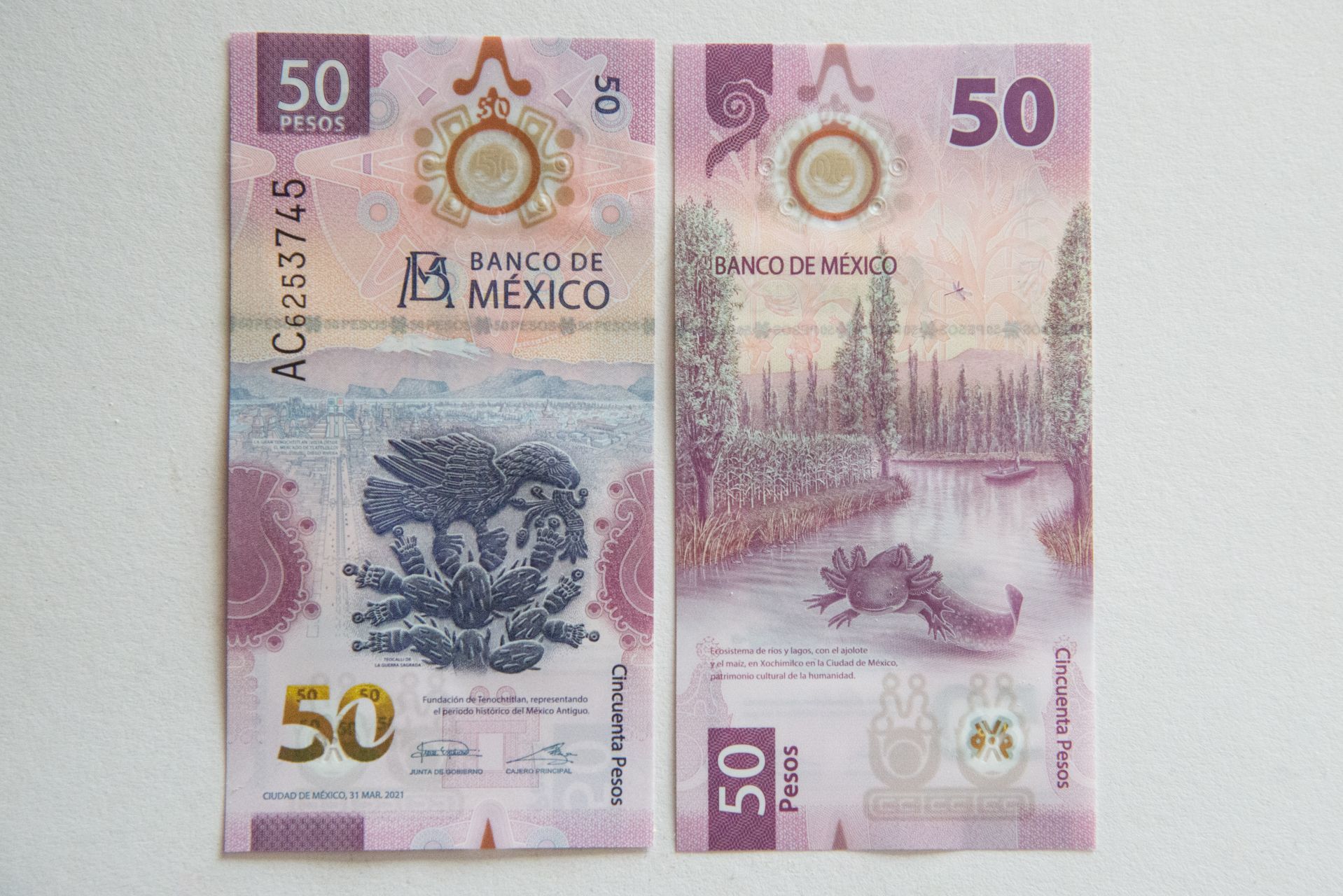 Ejemplar de 50 pesos. (Foto: Cuartoscuro/Archivo)